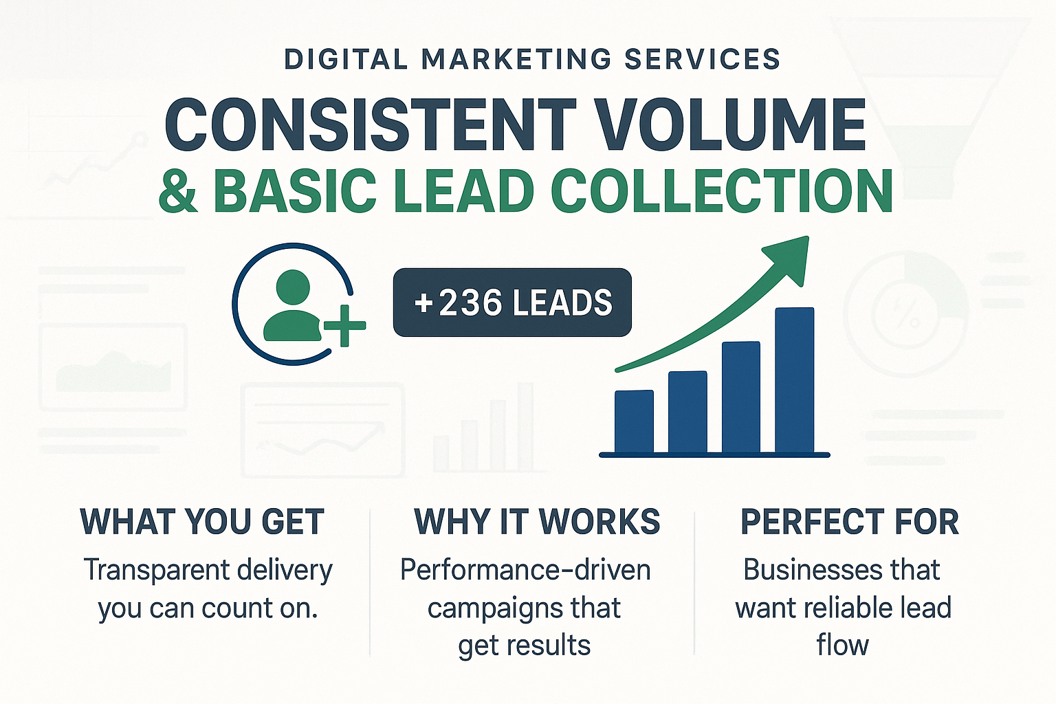 What You Get: Consistent volume; basic lead collection
Why It Works: Designed to drive results with simple, transparent delivery.
Perfect For: Businesses that value performance and clarity.
Includes: Service fulfillment and reporting..

Make eye catching and high converting